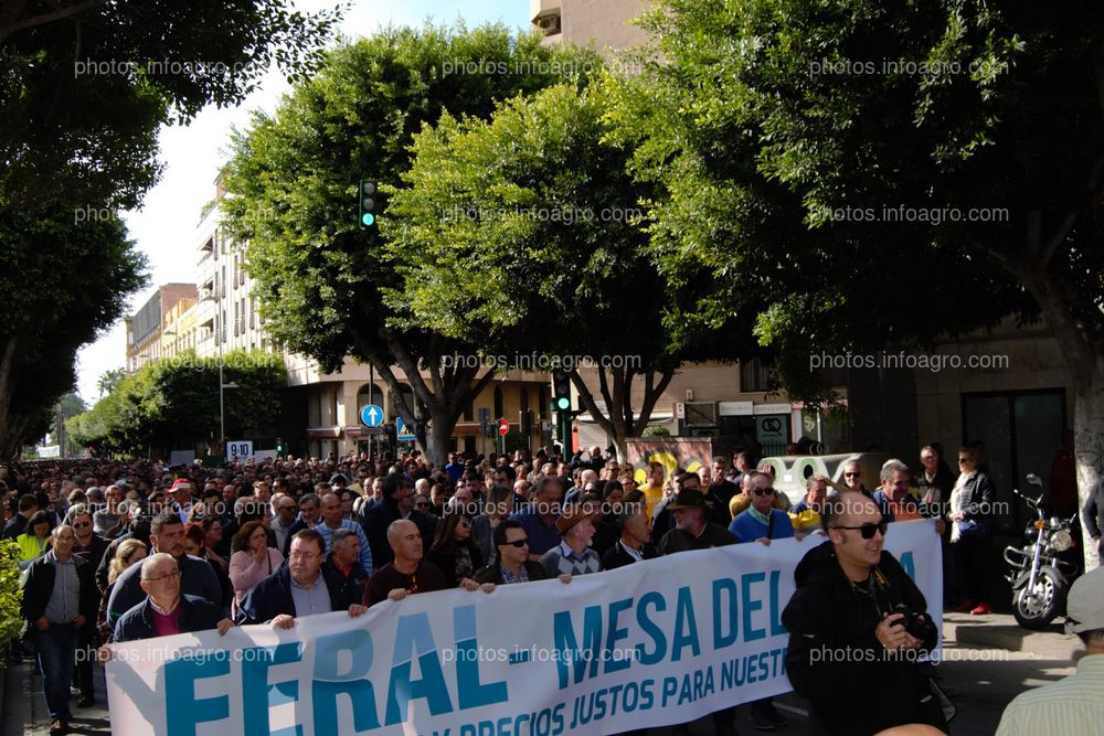 Plano en el que se puede ver la extensión de la manifestación, hacia el fondo