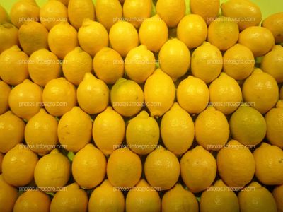 Limones sanos recolectados