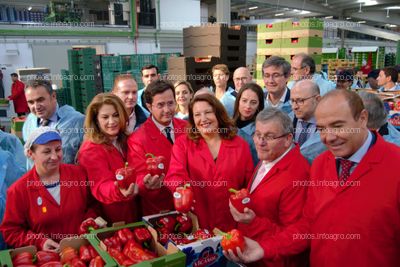 La consejera de Agricultura, junto al alcalde de El Ejido, el presidente de Vicasol y el gerente de la cooperativa, mostrando algunos de los productos