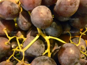 Uvas negras