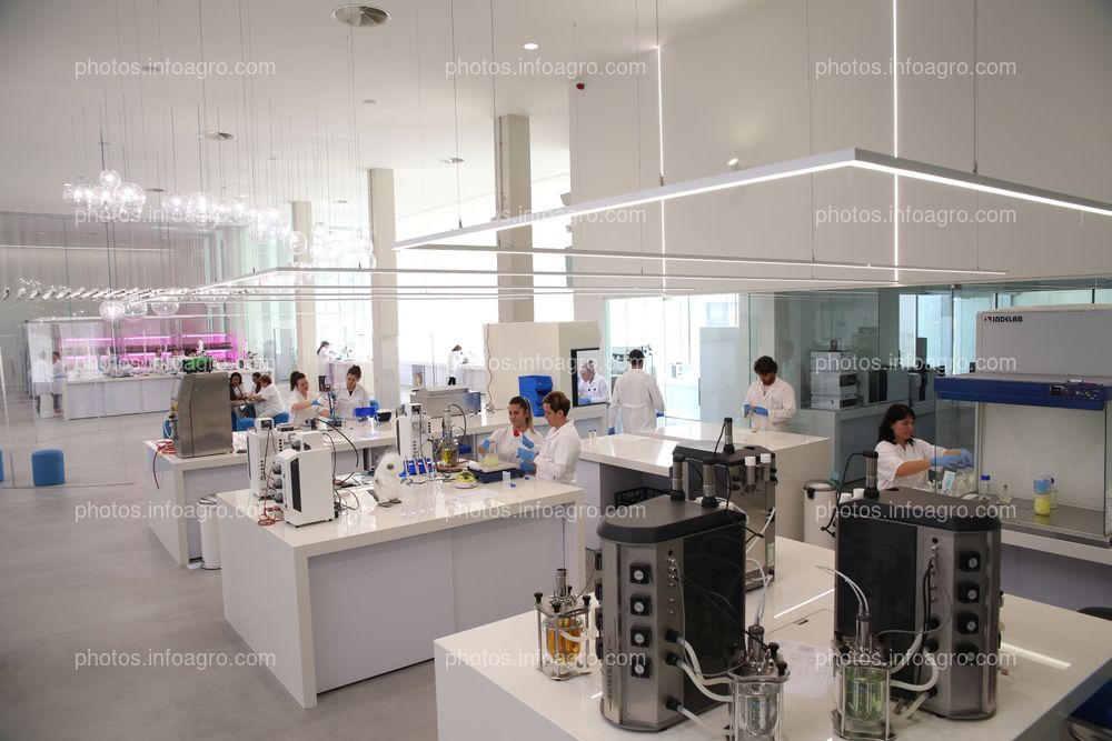 Laboratorio de Microbiología y de microalgas del MaAVi de Kimitec Group