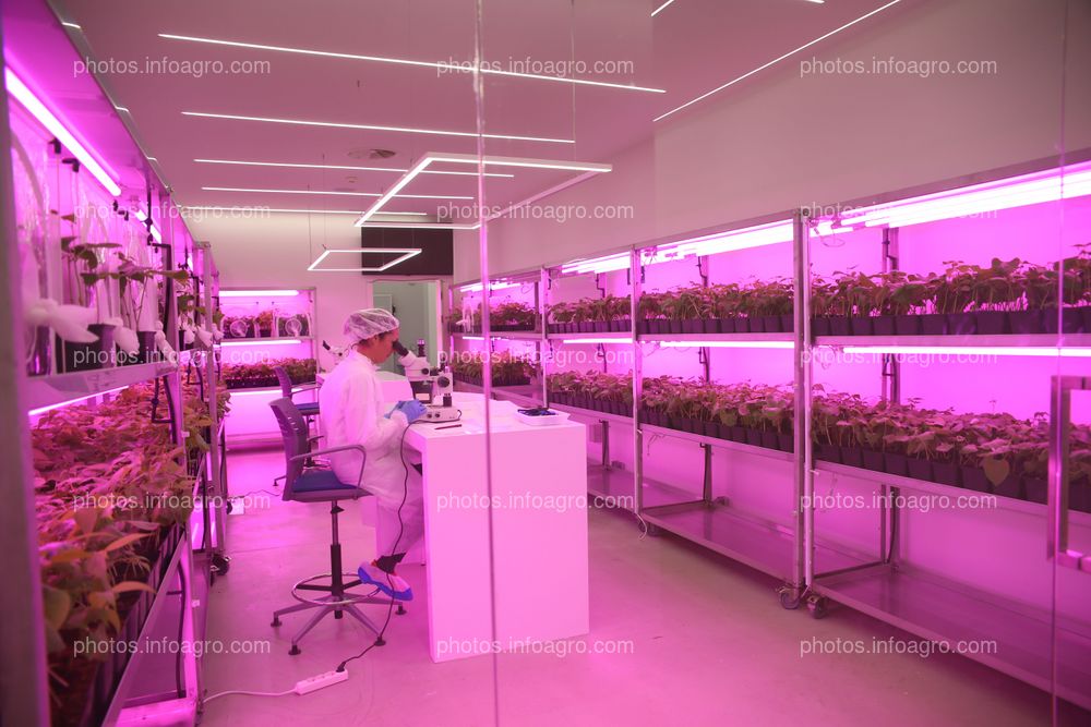 Personal de Kimitec Group, investigando con plantas