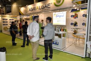 Alga Energy - Stand en Infoagro Exhibition