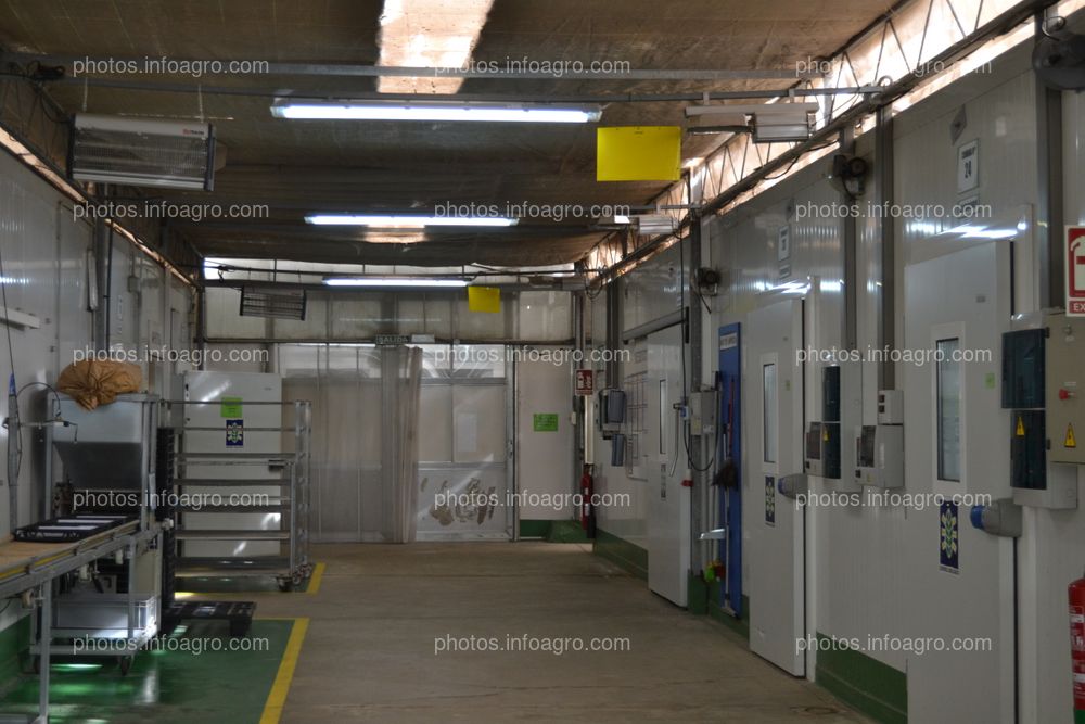 Parte de las instalaciones del centro de producción de Koppert en Águilas