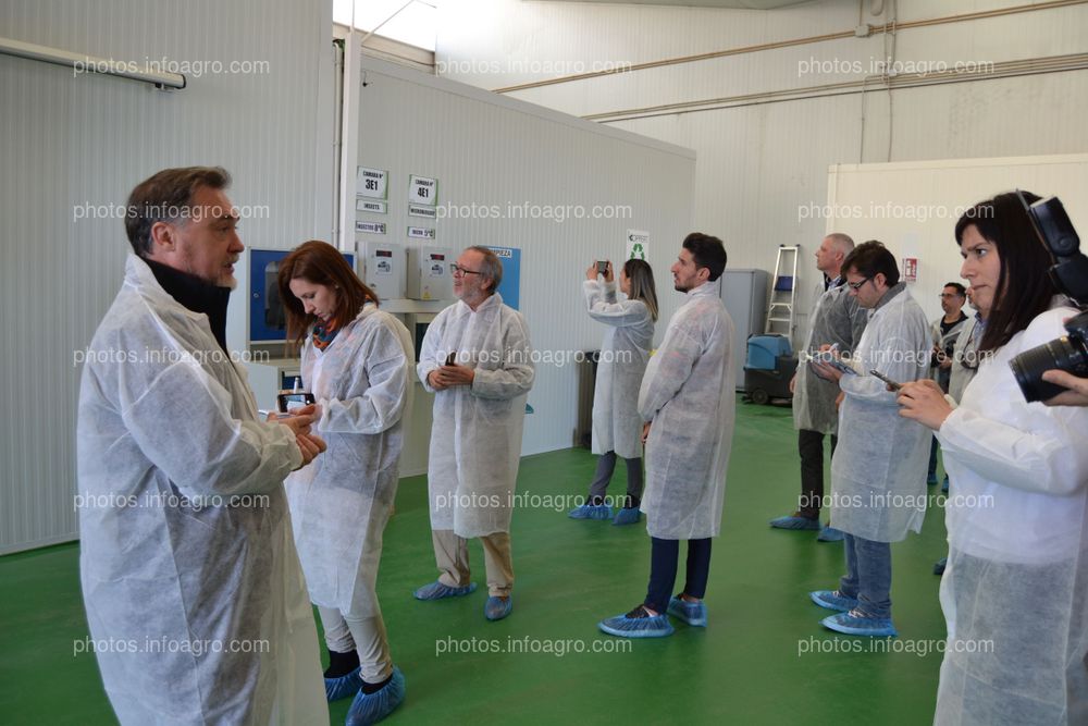 José Sáez, director de producción de Koppert España, durante sus explicaciones a los periodistas que acudieron a la visita