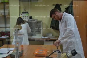 El personal de Calidad de Koppert España, durante su rutina en el laboratorio de la biofábrica de Águilas