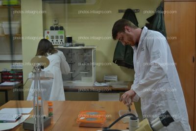 El personal de Calidad de Koppert España, durante su rutina en el laboratorio de la biofábrica de Águilas
