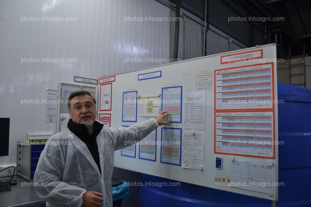 José Sáez, director de producción de Koppert España, explicando los parámetros que se controlan durante los envíos