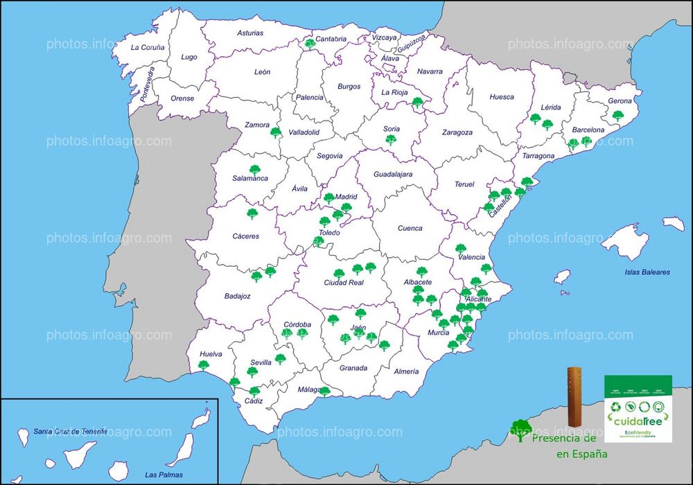 Presencia de Cuidatree en España