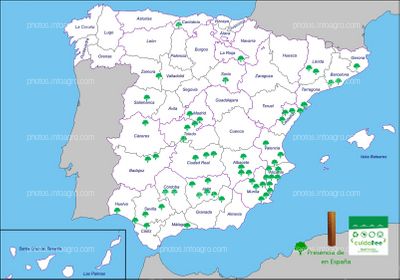Presencia de Cuidatree en España
