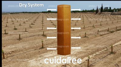 Dry System