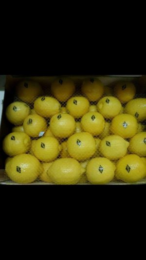 Limon Eureka Marruecos