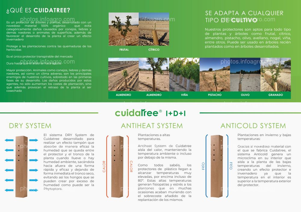 Cuidatree I+D+I