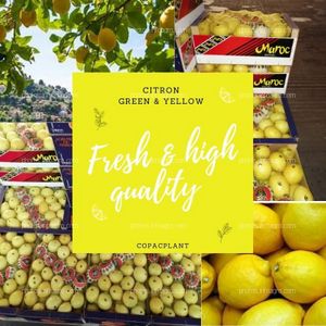 fresh limon 