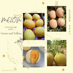 MELON