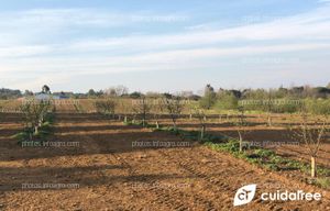 Finca de frutales en Brunyola, provincia de Girona