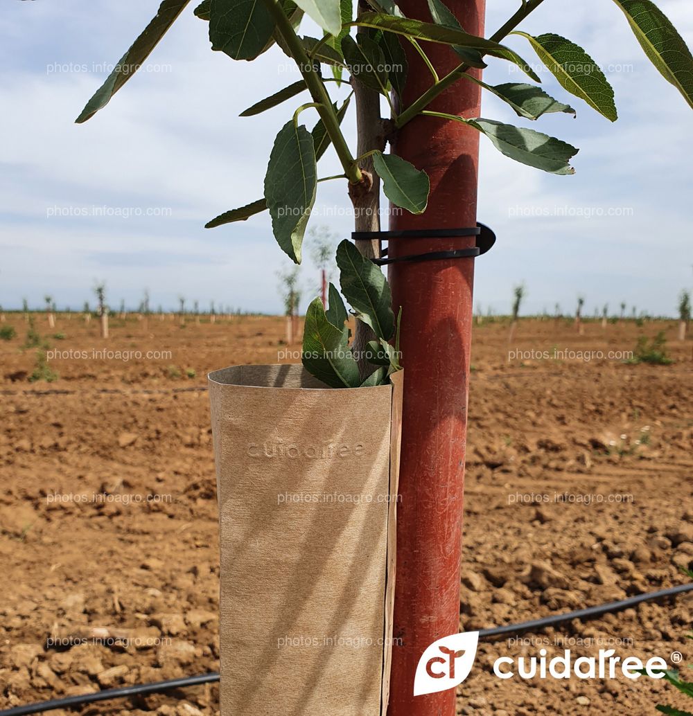 Finca La Nava Grande ubicada en Carmona provincia de Sevilla