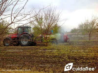 Tratamiento a Caída de Hojas en almendro