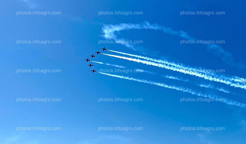 Exhibición Patrulla Águila