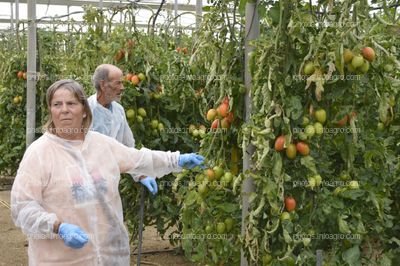 Jornada de puertas abiertas de CapGen Seeds  en Almería.