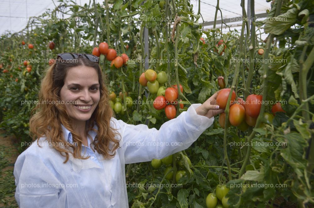 Jornada de puertas abiertas de CapGen Seeds  en Almería.