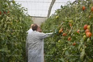 Jornada de puertas abiertas de CapGen Seeds  en Almería.