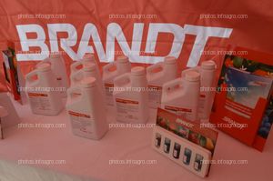 BRANDT presenta un ensayo que demuestra el aumento de la producción de sandía gracias a su plan nutricional completo