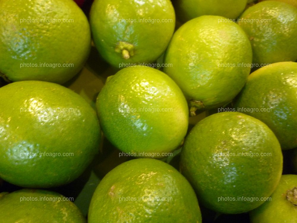 limón dulce Frutos verdes 