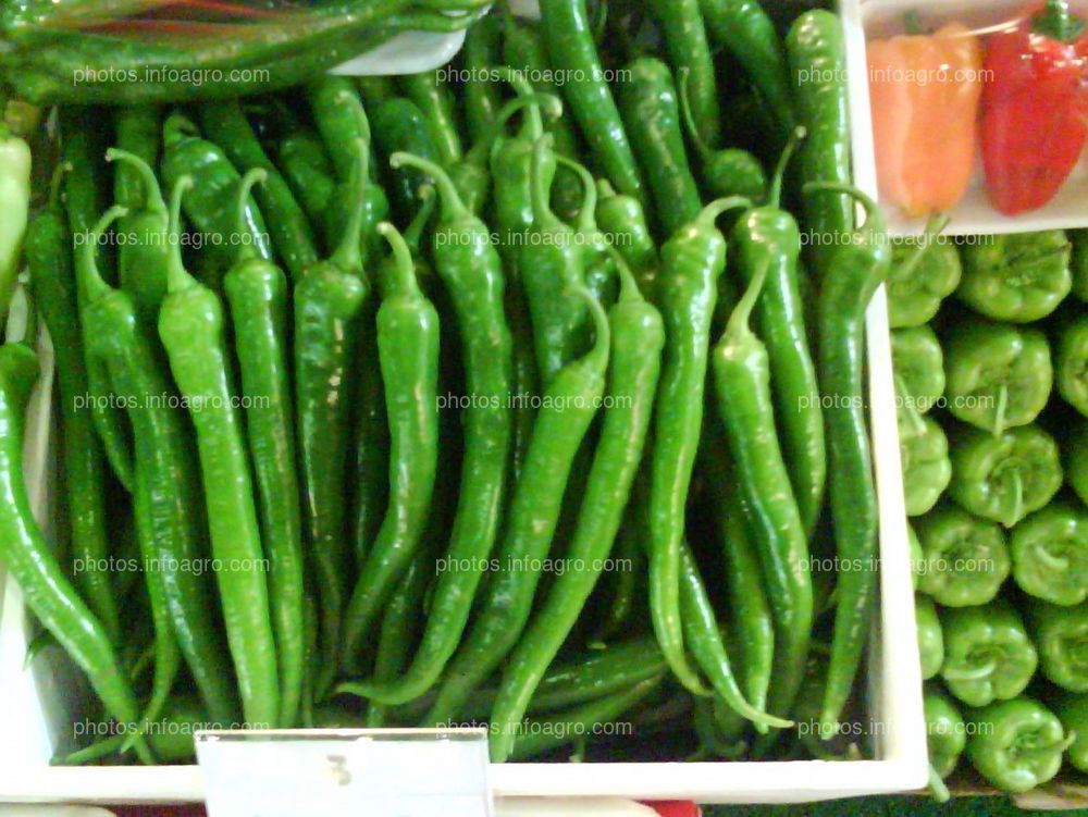 Pimientos