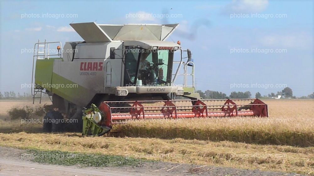 Cosechadora arroz parte delantera