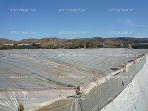 Cubierta invernadero raspa y amagado