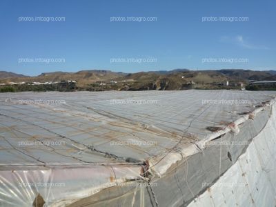 Cubierta invernadero raspa y amagado