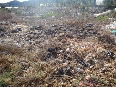 Residuos plásticos y vegetales invernaderos