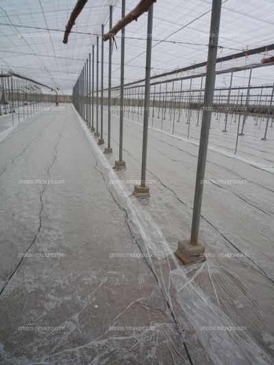 Solarización en invernadero