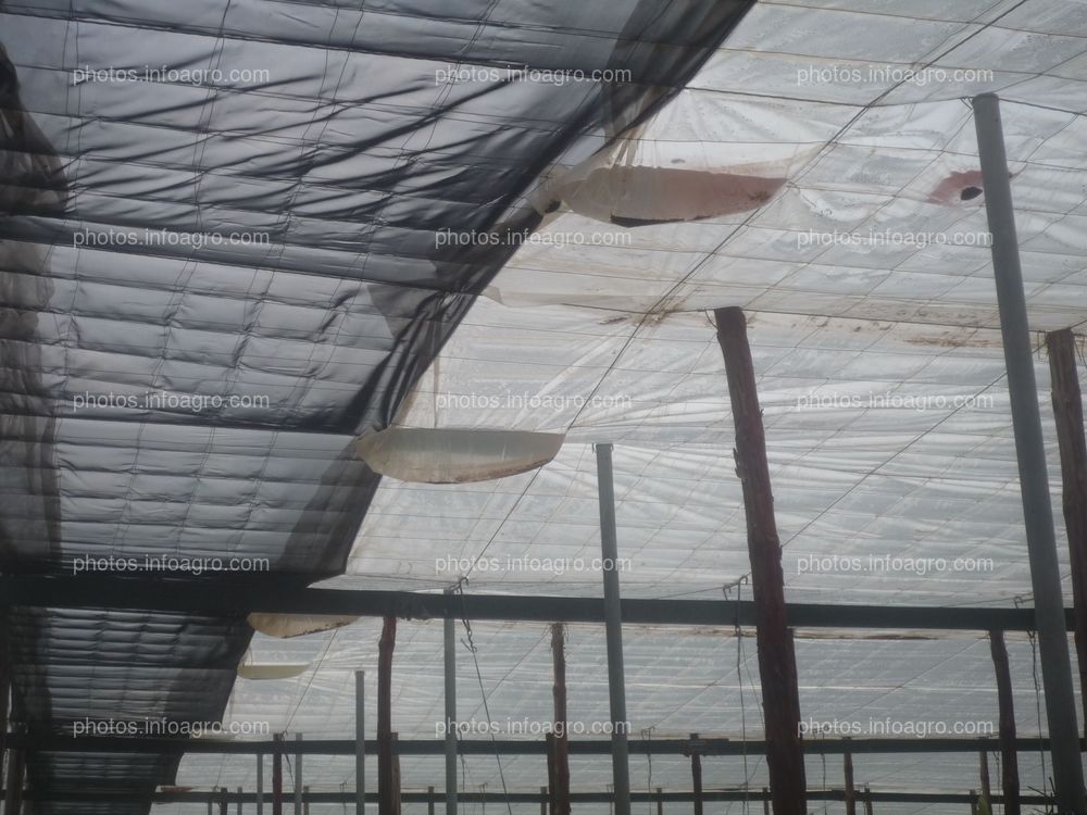 Acumulación agua lluvia techo invernadero