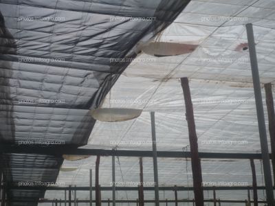 Acumulación agua lluvia techo invernadero