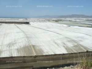 Blanqueo de invernadero