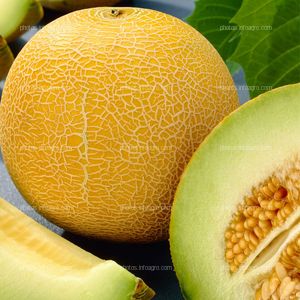 Melón