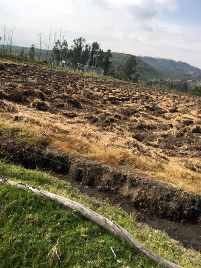 SE COMPRAN FINCAS DE SECANO Y REGADIO