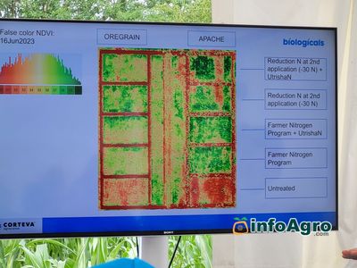 Corteva Eschbach RD Center FIELD TRIALS chlorophyll from drone