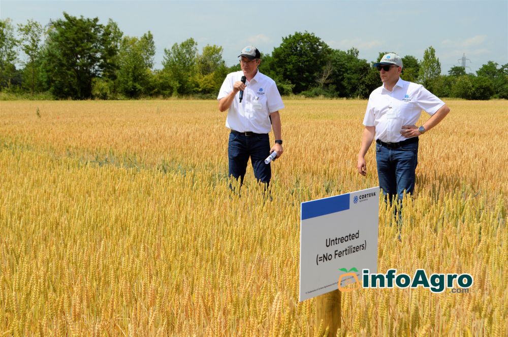 Corteva Eschbach RD Center FIELD TRIALS trigo - wheat