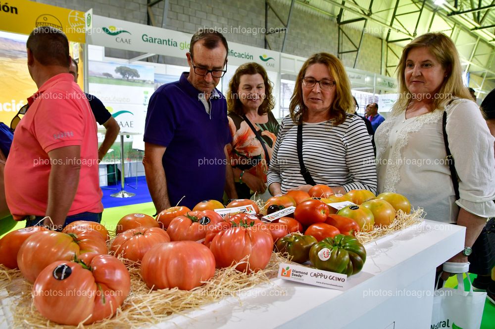 Diamond Seeds - Stand en Infoagro Exhibition 2023