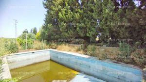 Ref2410 Andalucia, Bornos - finca en venta