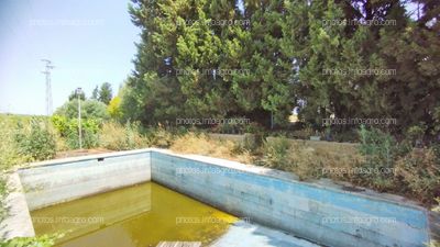 Ref2410 Andalucia, Bornos - finca en venta