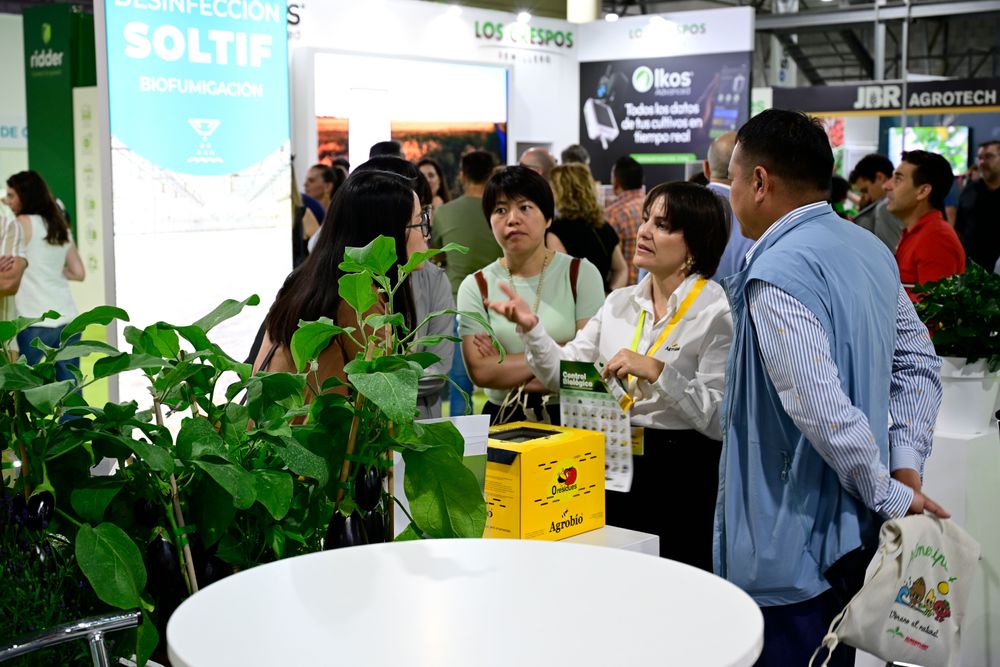 Visitantes profesionales asiáticos conocen los productos y servicios de una empresa almeriense, expositora en Infoagro Exhibition 2025