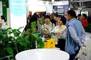 Visitantes profesionales asiáticos conocen los productos y servicios de una empresa almeriense, expositora en Infoagro Exhibition 2025