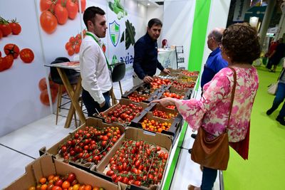 Expositor explicando a visitantes profesionales las características de sus productos, en Infoagro Exhibition 2025