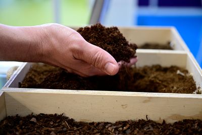 Un expositor muestra la consistencia de su sustrato en Infoagro Exhibition 2025