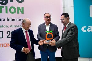 Entrega del Premio Desarrollo Empresarial a Carretillas Amate IE2025