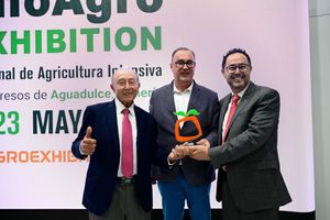 Carretillas Amarte, Premio Desarrollo Empresarial IE2025